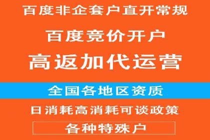 成功案例揭示：百度推广返点的运用之道